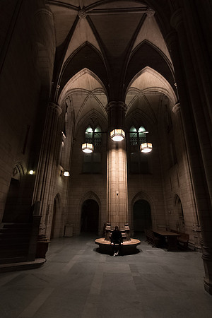Sam In Cathedral 300